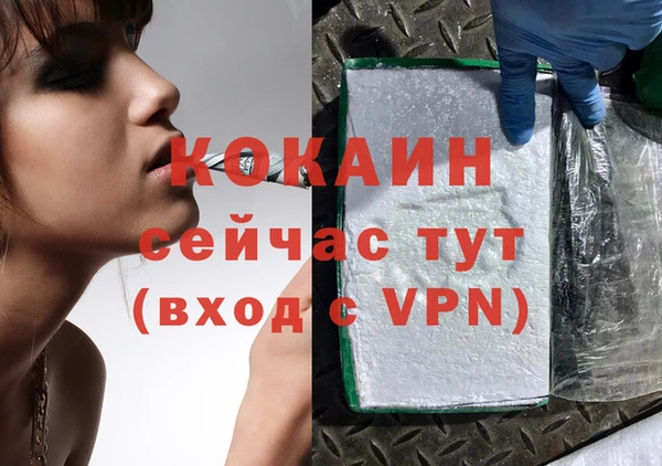ГАЛЛЮЦИНОГЕННЫЕ ГРИБЫ Михайлов