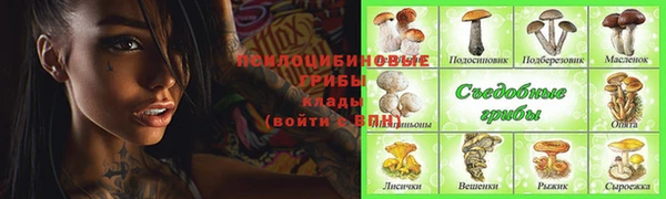гашик Михайловск