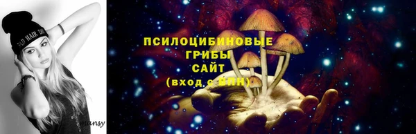 прущий лед Михайловка