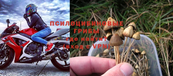 прущий лед Михайловка