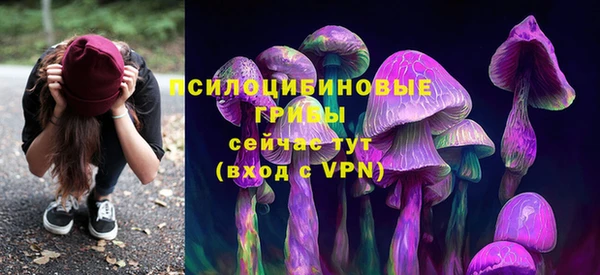 тгк Нефтекумск