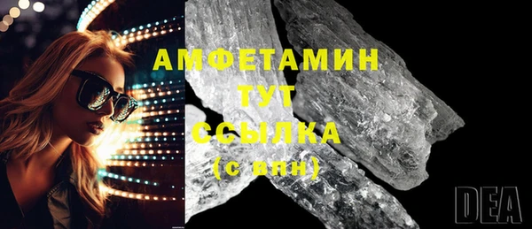 ГАЛЛЮЦИНОГЕННЫЕ ГРИБЫ Михайлов