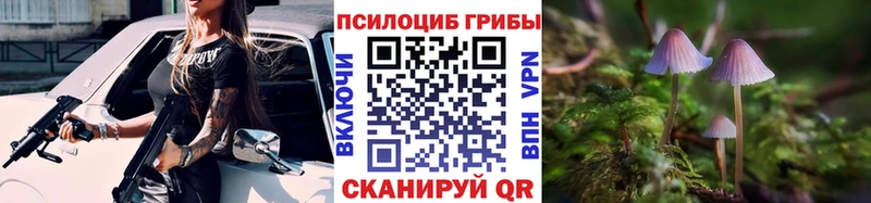 Галлюциногенные грибы Magic Shrooms  Купить  Яблоновский 